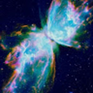 Meet your Posher, Aala